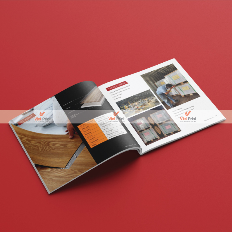 In Catalogue Tại Huế Uy Tín – Thiết Kế Đẹp, In Nhanh